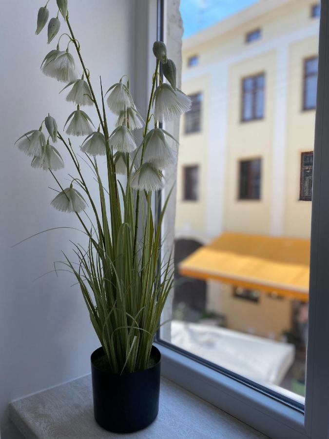 Homelike Apartment Lemberg Exterior foto